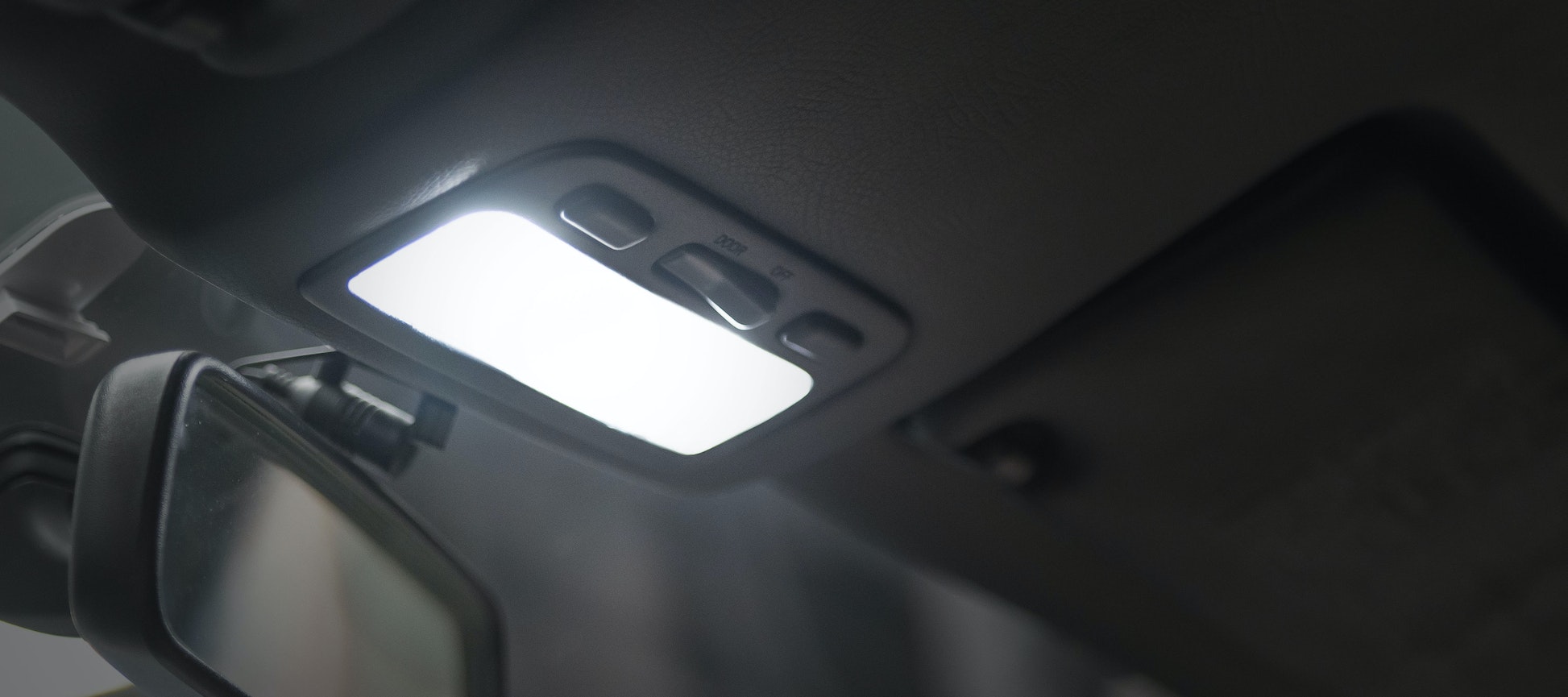 STEDI Festoon 36mm LED Bulbs